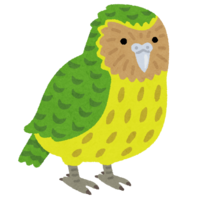 Kakapo