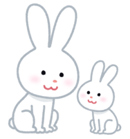 Rabbit parent and child