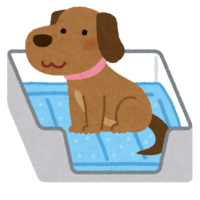 Pet sheets-Toilet sheet (dog)