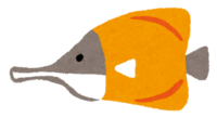 Tropical fish (forceps fish)