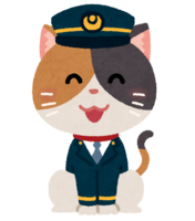 Cat stationmaster