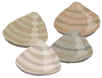 Clam (shellfish)