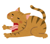 Yawning cat