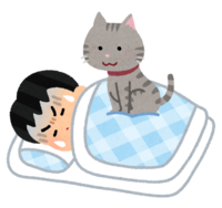 A person who can ride a cat while sleeping (male)