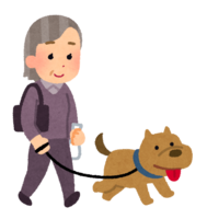 Human walking a dog (grandmother)