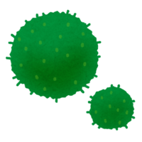 Marimo