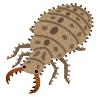 Antlion