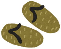 Waraji-Zori (shoes)