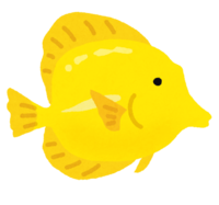 Yellow tang (tropical fish)