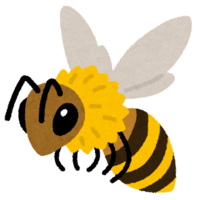 Bee