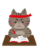 Animal (cat) studying