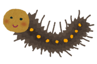 Caterpillar