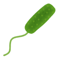 緑膿菌