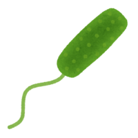 Pseudomonas aeruginosa