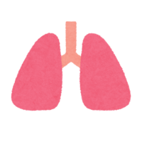 Lung icon (internal organs)