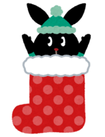 Pyoko in Christmas stocking