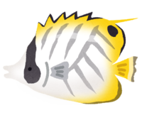Threadfin butterflyfish (tropical fish)