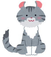 American Curl (cat)