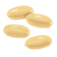 Peanuts (nuts)