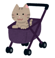Pet cart (cat)