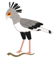 Secretarybird