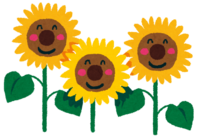 Sunflower (three sunflower brothers)