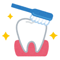 歯ブラシと綺麗な歯