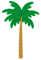 Various palm trees