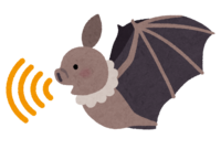 Bat that emits ultrasonic waves