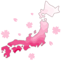 Sakura front