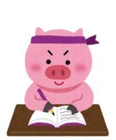 Animal studying (pig)