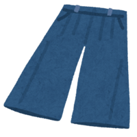 Gaucho pants