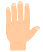 Back of the hand