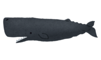 Sperm whale (whale)
