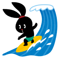 Pyoko surfing