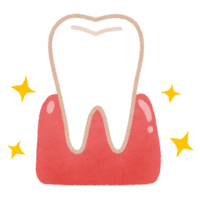 Healthy gums