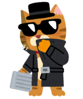 Spy cat