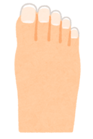 伸びた足の爪