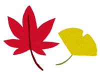 Autumn leaves (red maple and yellow ginkgo)