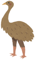 Moa (extinct animal)