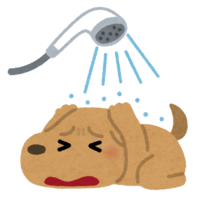 讨厌洗澡的狗