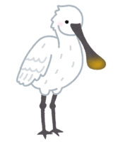 Spoonbill