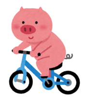 Pig on a bicycle (animal)