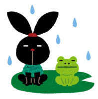 Frog on a rainy day (Pyoko)
