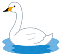 Swan