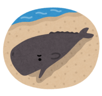座礁したクジラ