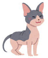 Sphynx (cat)