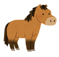 Kiso horse