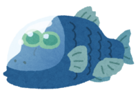 デメニギス(深海魚)