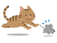 Cat chasing a mouse